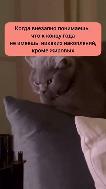 Скоро новый год. #нг2025 #нг #шефстепанов #юмор #прикол смотреть онлайн