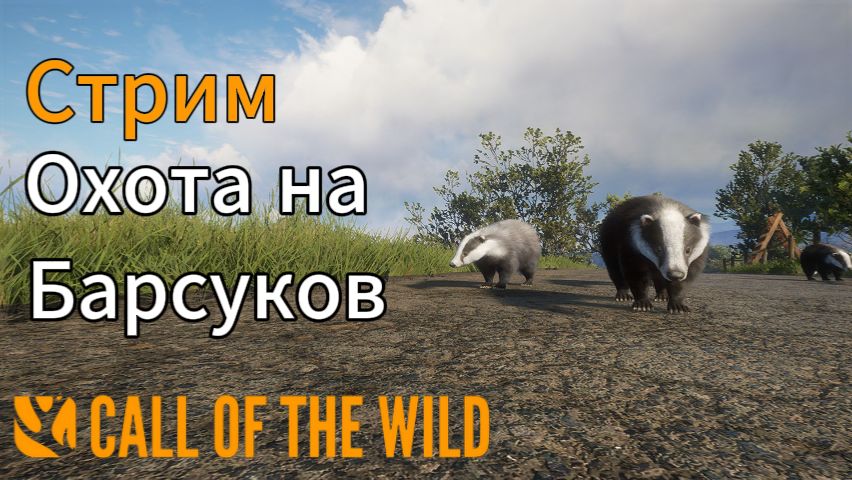 Охота на барсука в Шотландии в theHunter: Call of the Wild смотреть онлайн