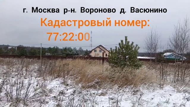 1000157193.mp4 смотреть онлайн
