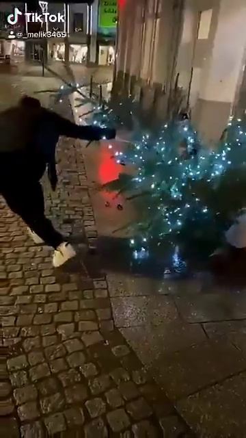 #Германия Тем временем в Германии мигранты начали борьбу с новогодними елками смотреть онлайн