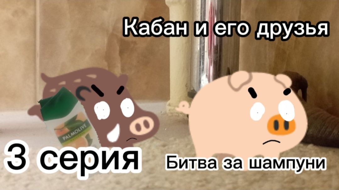 Кабан и его друзья битва за шампуни 3 серия смотреть онлайн