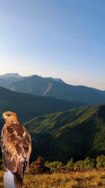 1000402199.mp4 смотреть онлайн