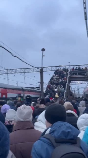 ‼️На МЦД-4 в районе Курского вокзала сломалась электричка, на платформе очень много людей‼️ смотреть онлайн