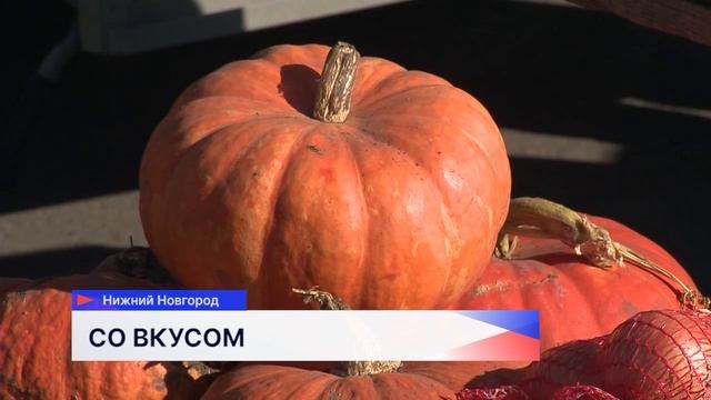 Новости "Волга 24" 26.09.2025 15:00