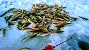 Рыбалка в Челябинской области.Окуни выпрыгивают из лунки