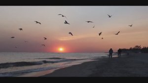 Slavique Green _ Lights.   16+