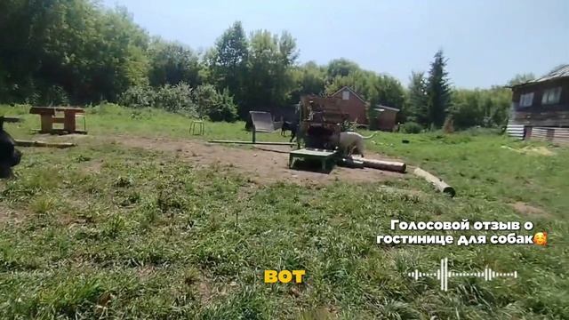 Зоогостиница. Передержка собак. Кинолог Игорь Алтайский.