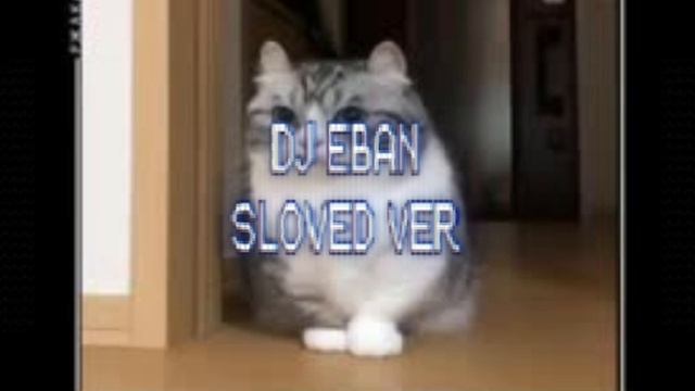DJ EBAN I SLOVED VERSION