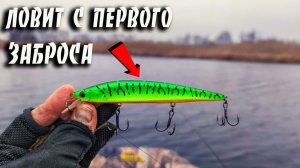 КОЛЕКТОР ЗАСТАВИЛ ЩУК КЛЕВАТЬ! Ловля щуки на спиннинг 2025