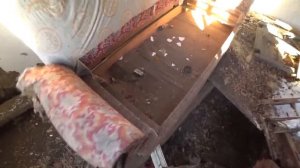 НЕ ДУМАЛ ЧТО ОБНАРУЖУ ЭТО ЗДЕСЬ! Заброшенная деревня КОЗИНО, Рязанская область