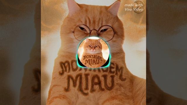 Фонк смотреть онлайн