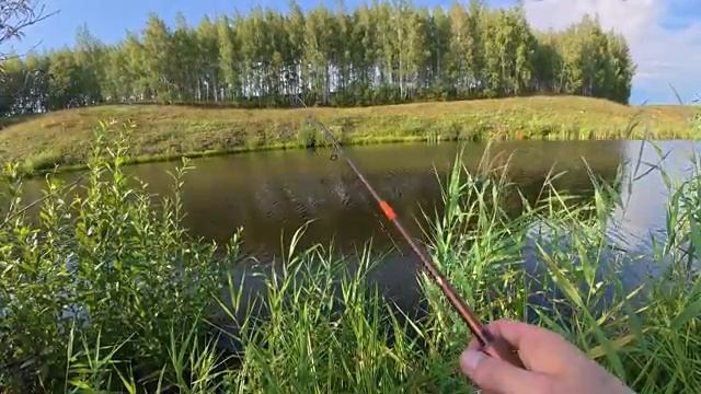 НА ЭТУ ПРИМАНКУ КЛЮЁТ С РАННЕЙ ВЕСНЫ ДО ПОЗДНЕЙ ОСЕНИ! Рыбалка в заросшем прудик смотреть онлайн