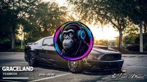 Graceland - Yearboox