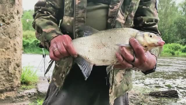 ЛЕЩ НА ДОНКУ | РЫБАЛКА ВО ВРЕМЯ ЛИВНЯ | ХОРОШИЙ КЛЕВ