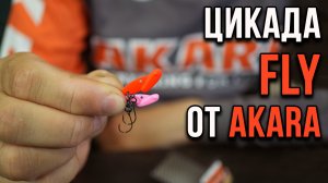 Цикада FLY от Akara.