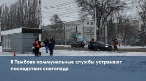 В Тамбове коммунальные службы устраняют последствия снегопада
