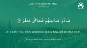 54.Сура «Аль-Камар» («Месяц») - 55 аята.
