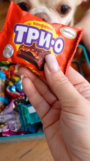 СЮРПРИЗ В КОНФЕТАХ! Зажгли ёлку в 10 подарке! 🎄✨
#новыйгод #адвент #семья #викагоу #подарок #сюрприз