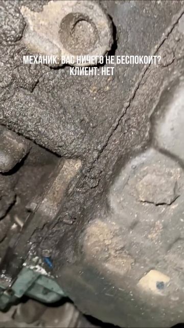 Нет, меня ничего не беспокоит! смотреть онлайн