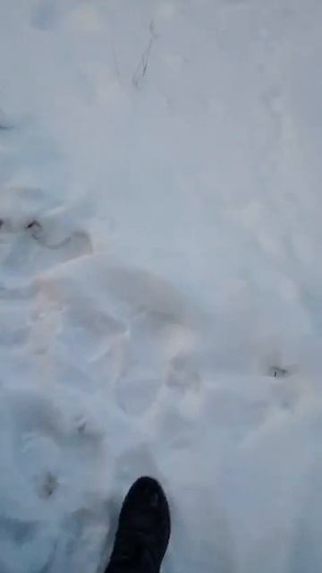 Масло Akkora в -26❄️ Обзор от владельца Мазды👍 смотреть онлайн