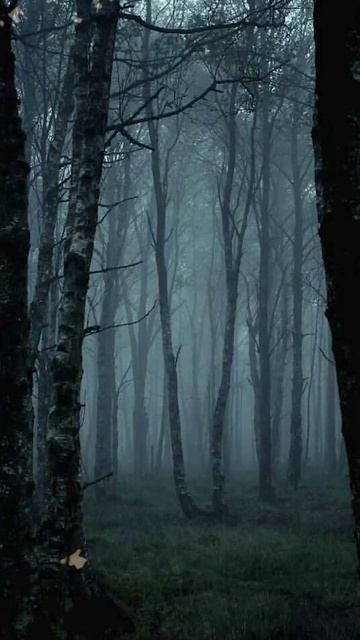 Вахта на корабле смотреть онлайн