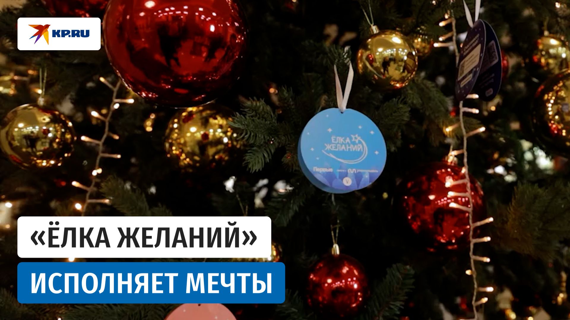 В Госдуме стартовала новогодняя благотворительная акция «Ёлка желаний» смотреть онлайн