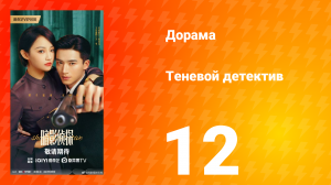 Теневой детектив 12 серия