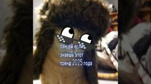 Танцуй если знаешь этот тренд 2025 года