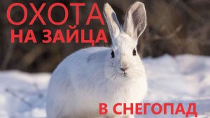 ОХОТА НА ЗАЙЦА В СНЕГОПАД 2025