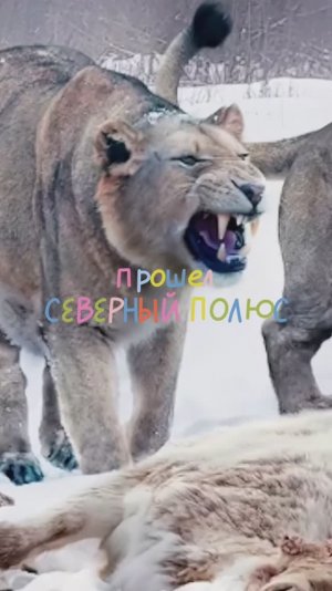 Страшнейшие хищники 😱