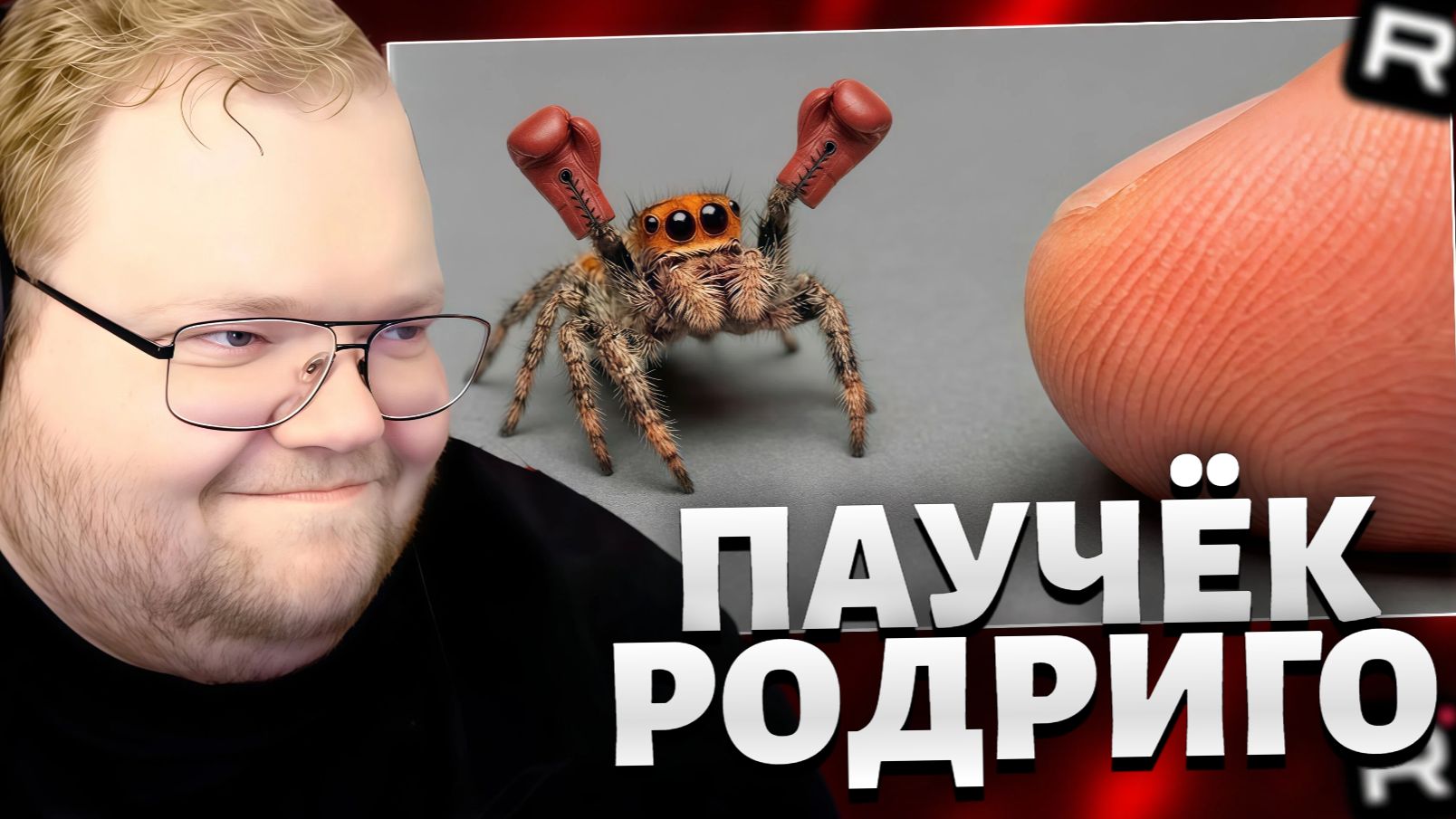 T2x2 СМОТРИТ: Я ПОДРУЖИЛСЯ С САМЫМ УМНЫМ ПАУКОМ В МИРЕ / РЕАКЦИЯ Т2х2 смотреть онлайн