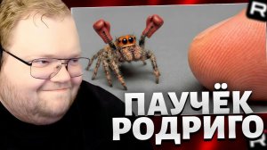 T2x2 СМОТРИТ: Я ПОДРУЖИЛСЯ С САМЫМ УМНЫМ ПАУКОМ В МИРЕ / РЕАКЦИЯ Т2х2