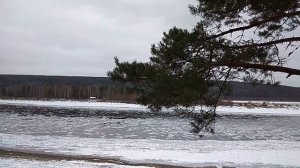 Дневник охотника.День девятый 20.10.25 г.