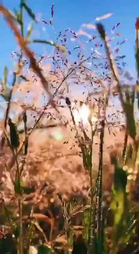 Подпишись 👉 👉 https://kamennyi-zver.ru смотреть онлайн