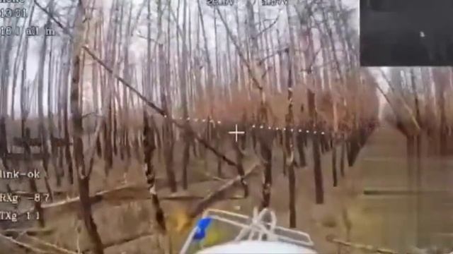 Война дронов №167. Кошмар ВСУ на Краснолиманском направлении. смотреть онлайн