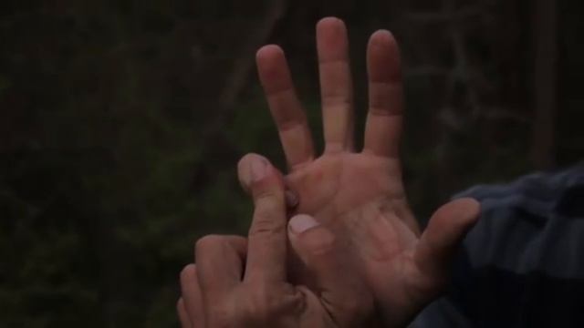 Научиться как Брюс Ли отжиматься на двух пальцах смотреть онлайн