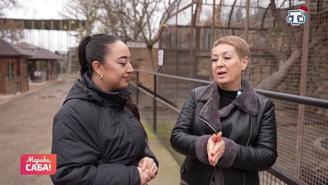 Рубрика «Айванат алеми». Выпуск от 10.12.2025 смотреть онлайн