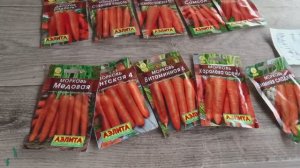 Посеяли морковь🥕🥕🥕Убрали свеклу🌰Какие переживания были при сделке 😐😊