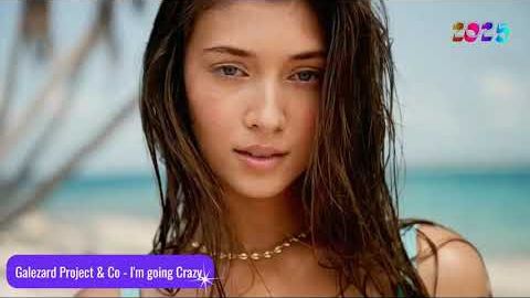 Galezard Project & Co - I m Going Crazy (2025)