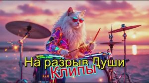 ТЮЛЬПАН СКЛОНИЛСЯ К РОЗЕ БЕЛОЙ   Клипы для ДУШИ ТОП   10 Music Videos #русские_песни #музыка #music