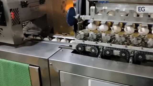Станок для фасовки куриных яиц в лотки FBD85-4 смотреть онлайн