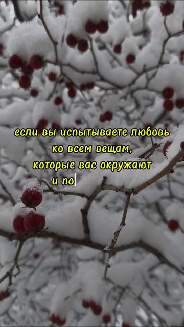 Бумеранг #мышление #мотивация #цитаты #трансерфингреальности #зима