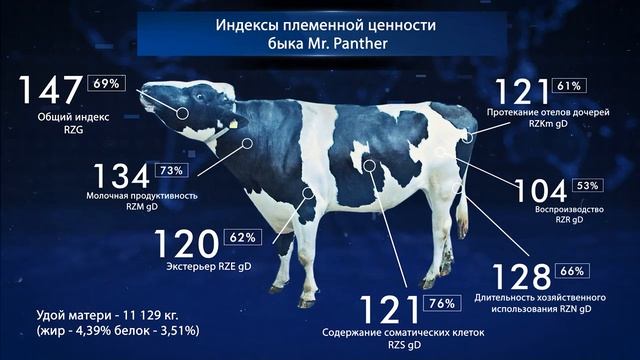 ИНТЕРГЕН РУС смотреть онлайн