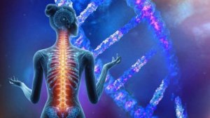 Здоровье и Регенерация Позвонков!*Целебные Частоты доктора Шмидта