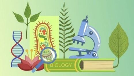 Биология 8 класс. Энерготраты и пищевой рацион. смотреть онлайн