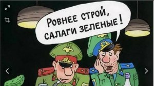 Салаги я тут лучший