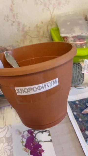 Цветы всегда хороши