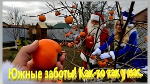 Южные заботы. Как-то так у нас. Ейск.