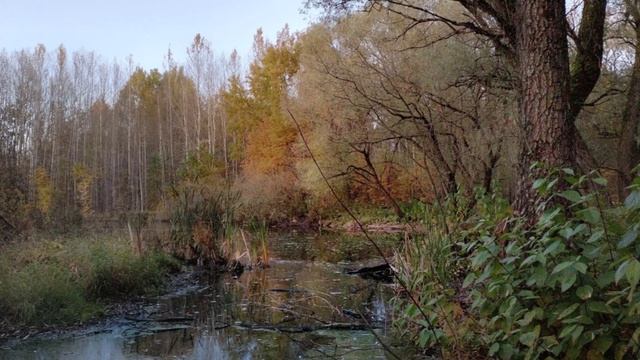 "ПРЕЛЮДИЯ"... (Фото Владимира МАСТЕРА (Вел. Новгород), музыка Дэвида БЕНУА (США) смотреть онлайн