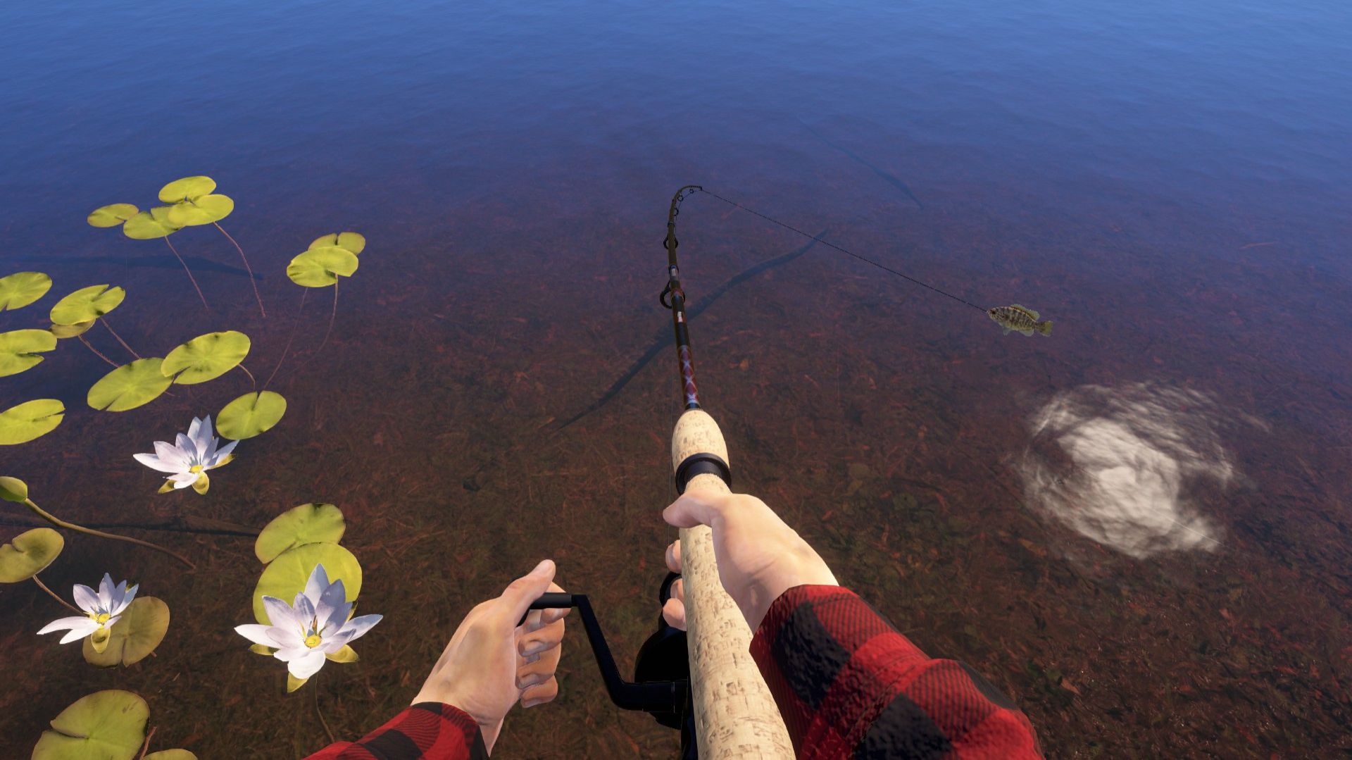 За хариусом и форелью на озеро Куори смотреть онлайн